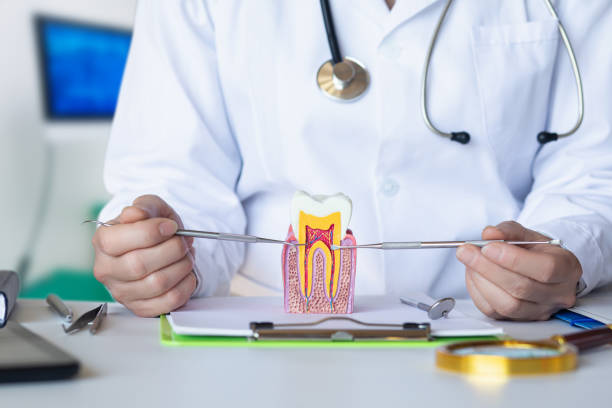 Best Emergency Treatment for Toothache in Wanamingo, MN